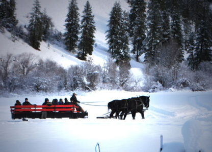 Photo of the Week: Two-Horse Open Sleigh Image